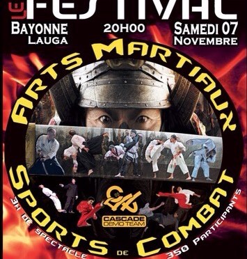 Festival des arts martiaux Bayonne 2015