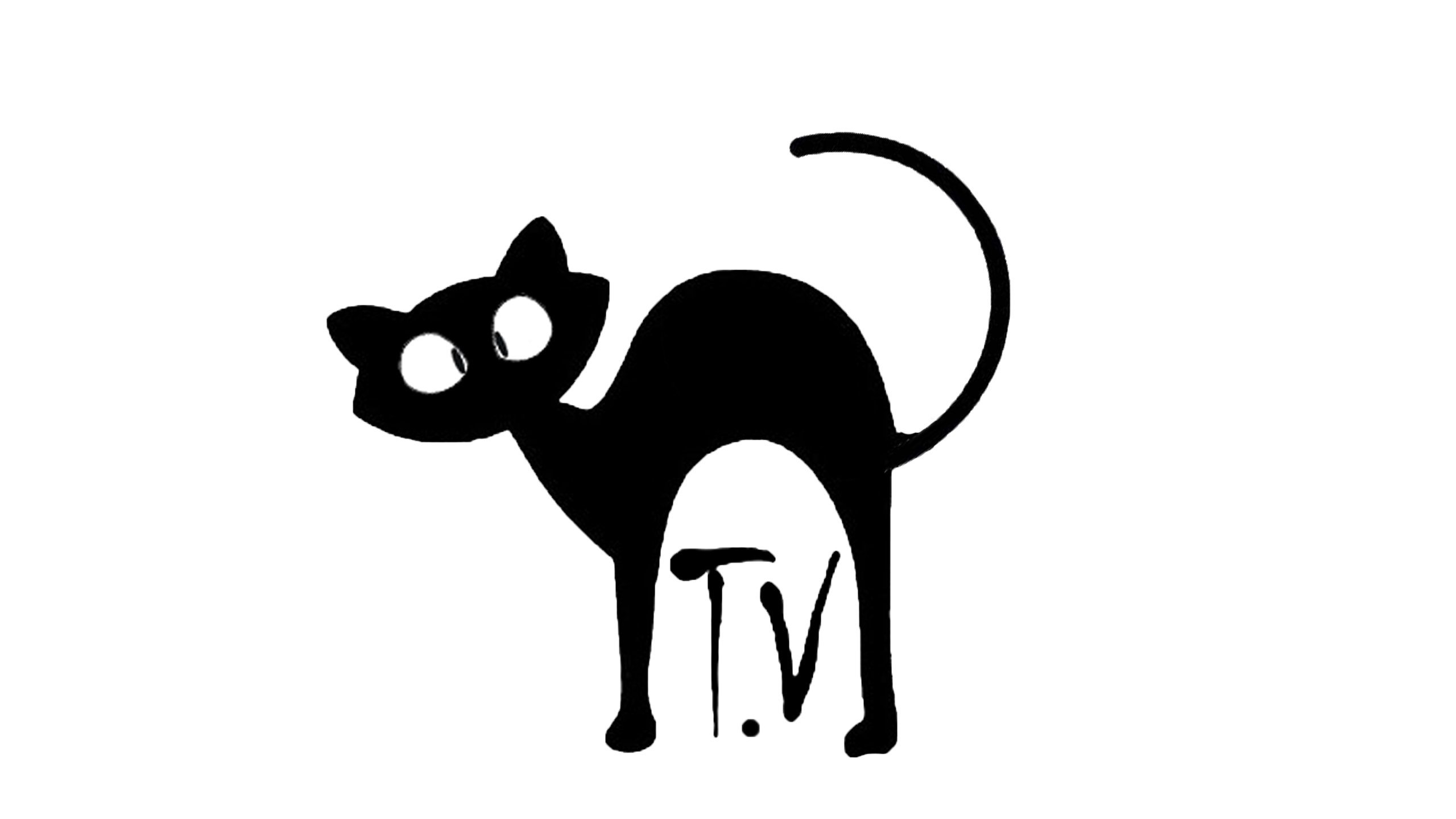 LOGO CHAT QUI LOUCHE transp