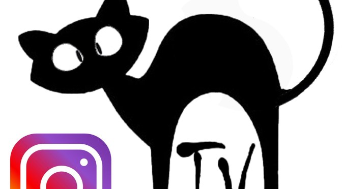 la chaîne SQUINTING CAT TV à maintenant son INSTAGRAM